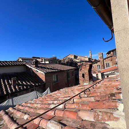 Colibri Daire Siena Dış mekan fotoğraf